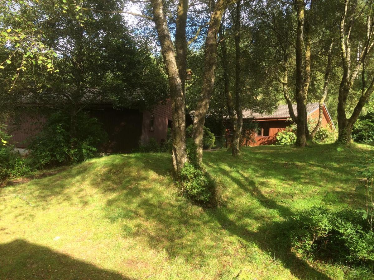 Birchbrae Highland Lodges أونيك المظهر الخارجي الصورة