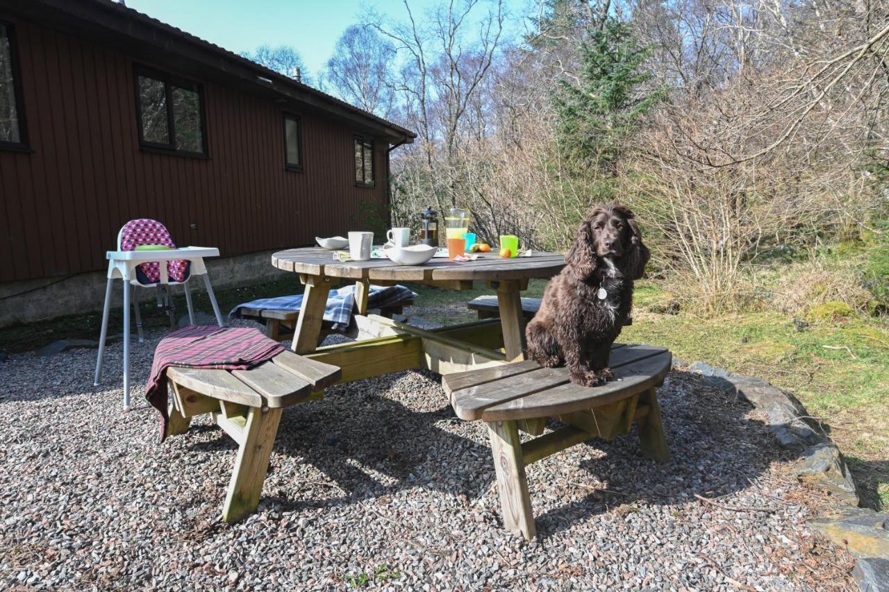 Birchbrae Highland Lodges أونيك المظهر الخارجي الصورة